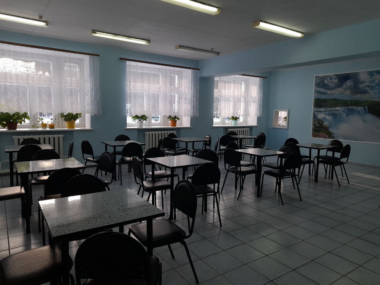 Изображения столовой.