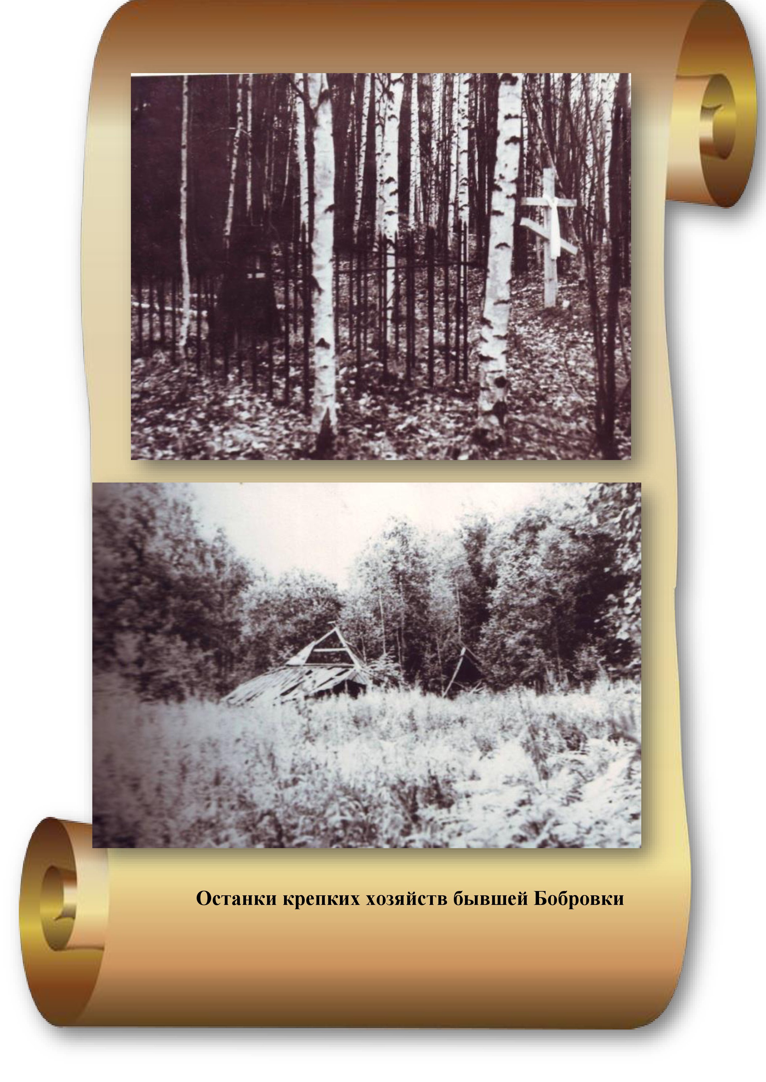 Фотографии школы.